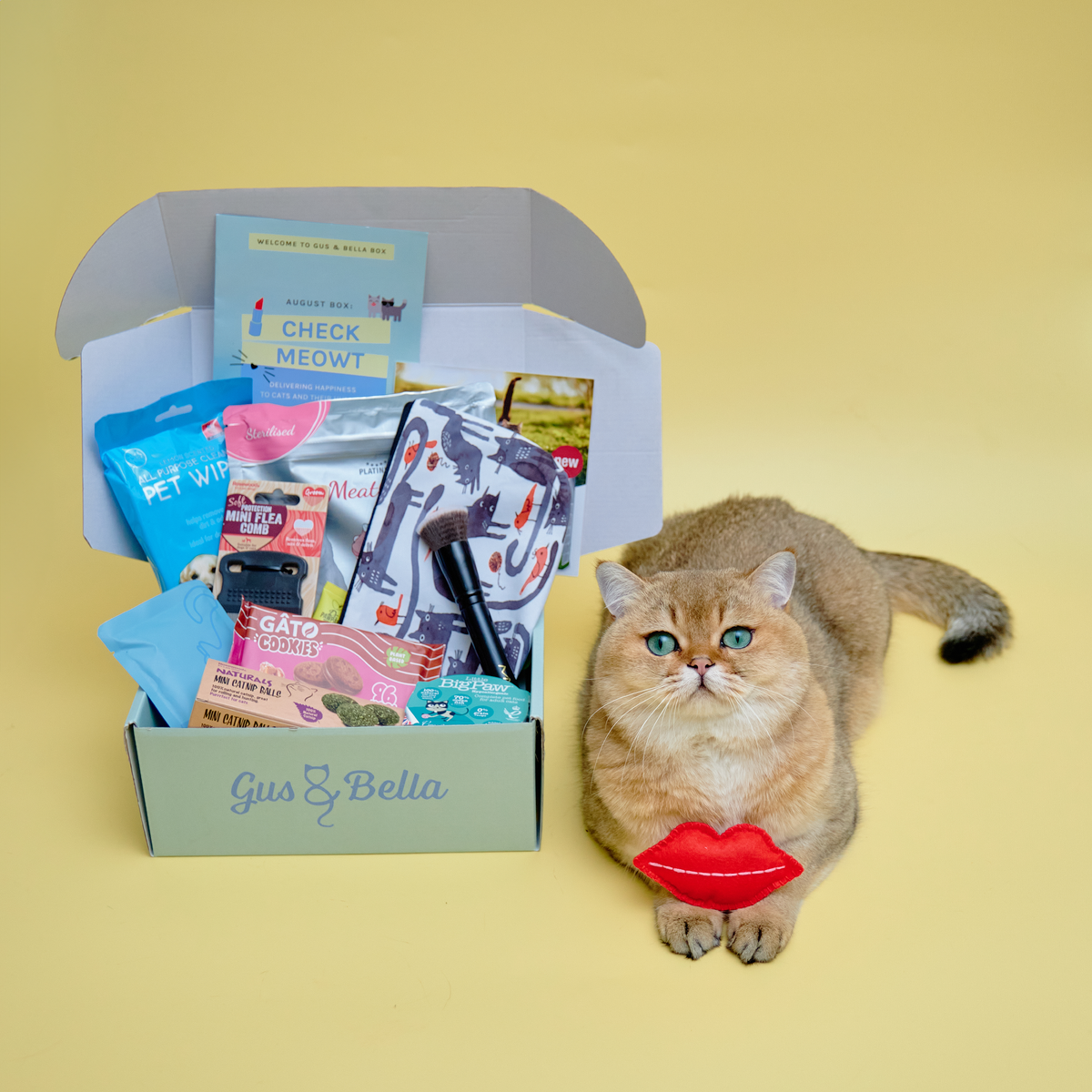 Monthly cat subscription outlet box