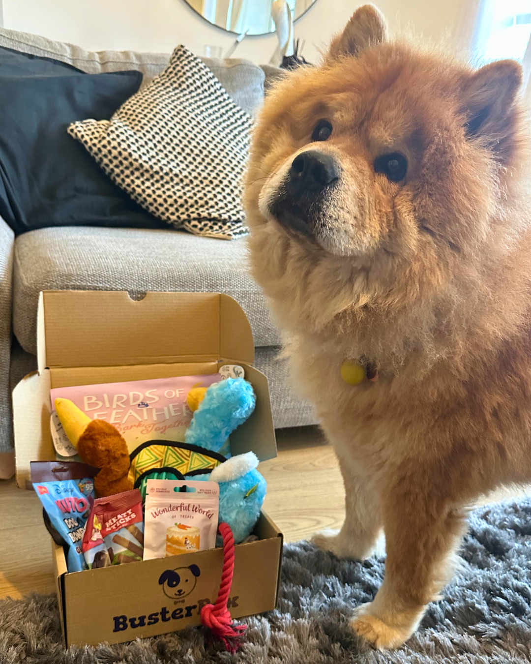 BusterBox Dog Subscription Box: A Tail-Wagging Delight for Your Pup