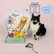 Monthly Cat Box + FREE GIFT