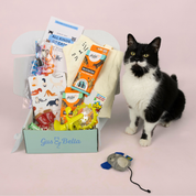 One-Off Cat Gift Box