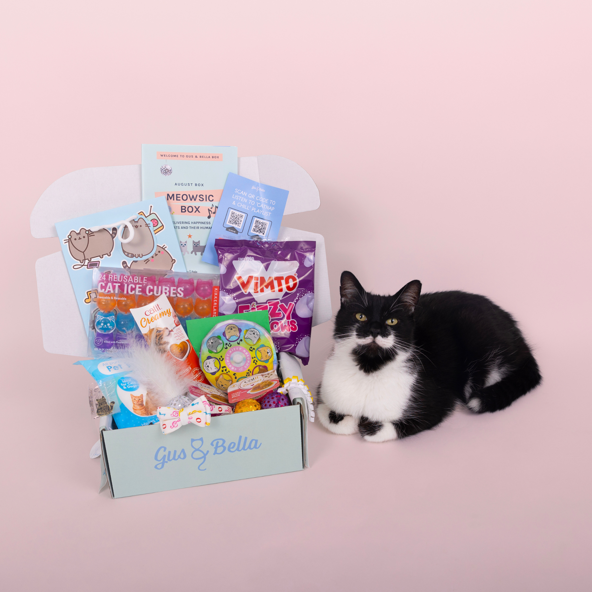 Cat Items Personalized Cat Gifts Birthday Gift Box Personalised