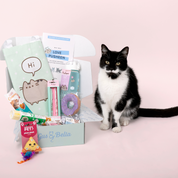 Monthly Cat Box