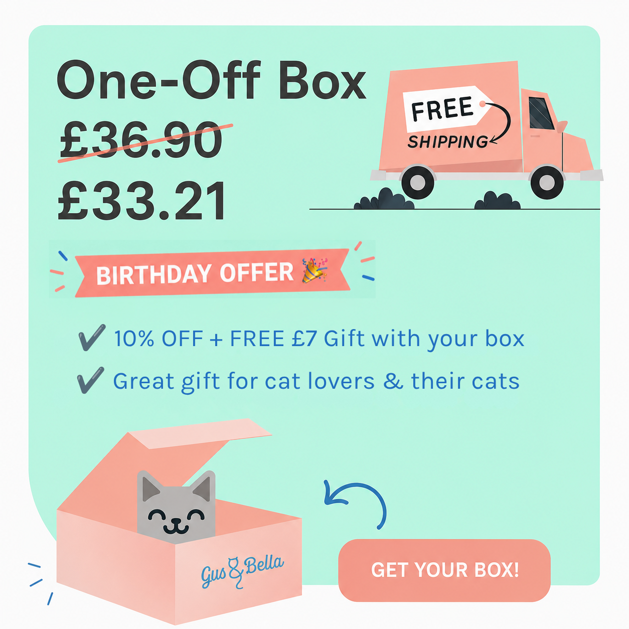 One-Off Cat Gift Box