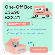 One-Off Cat Gift Box