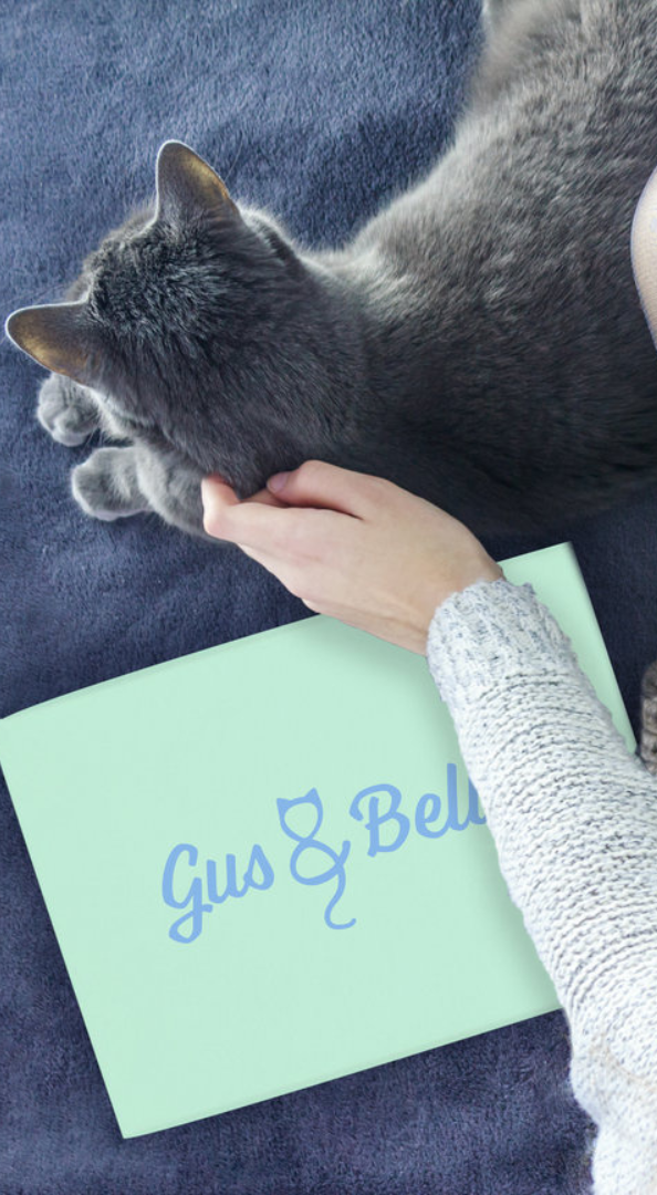 Monthly cat subscription deals