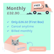 Monthly Cat Box