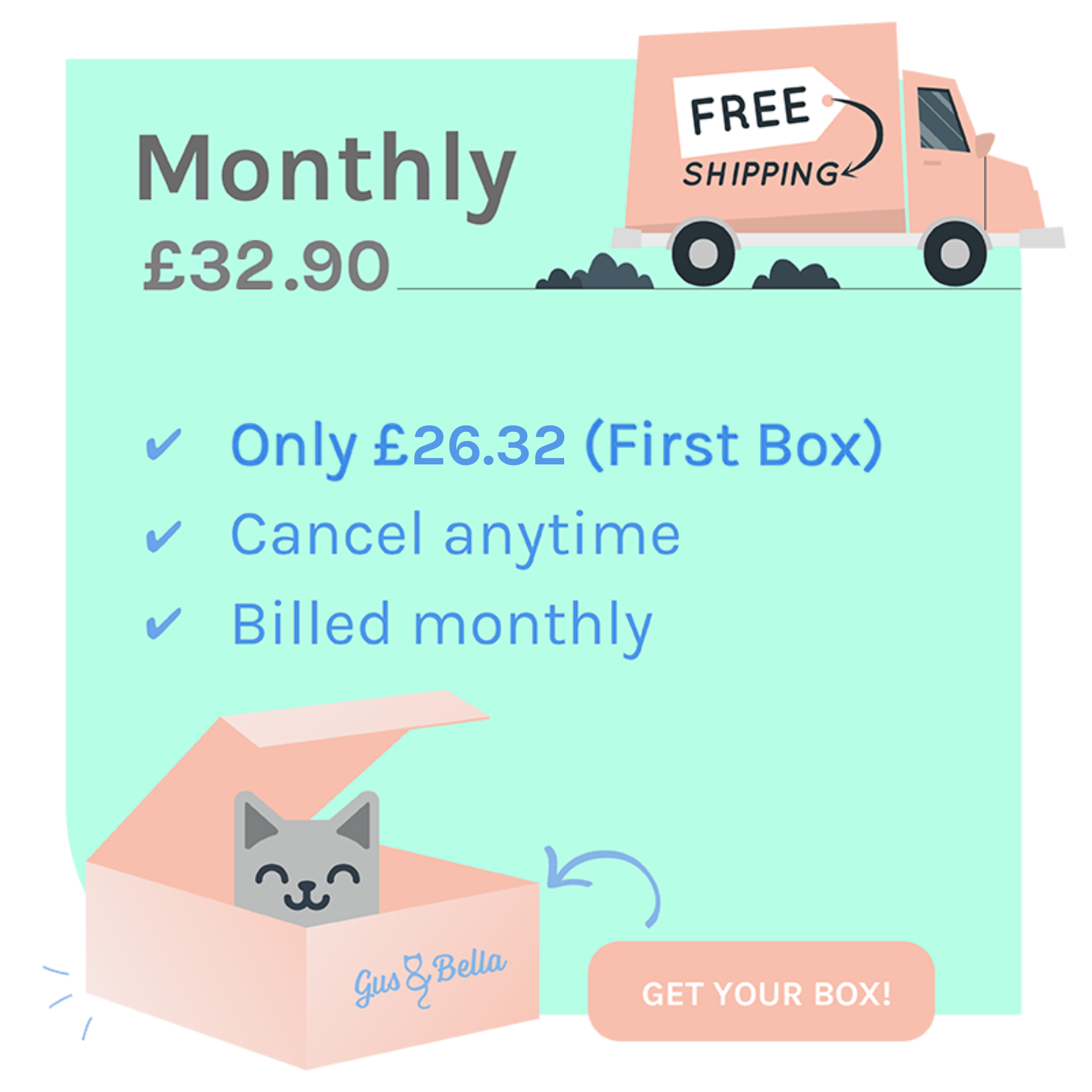 Monthly Cat Box