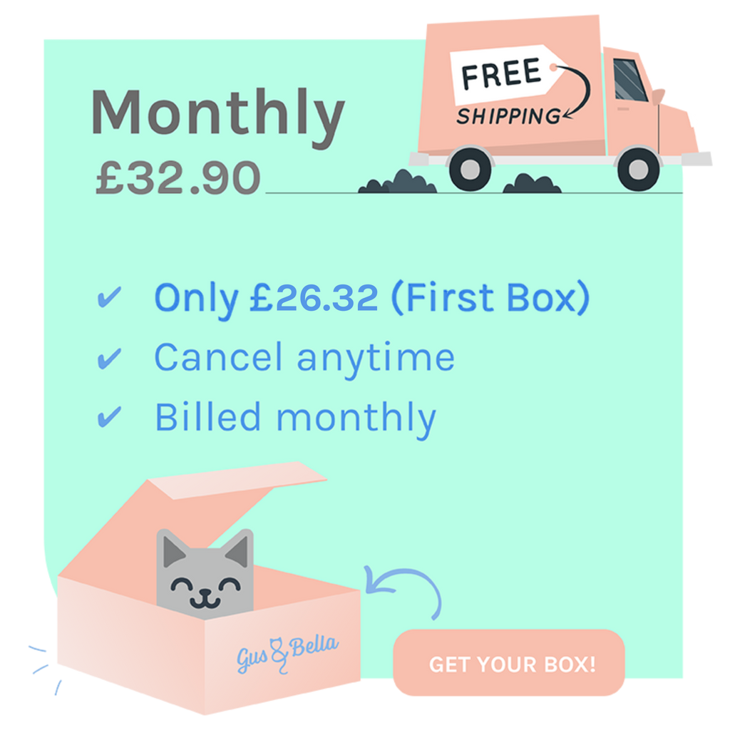 Monthly Cat Box