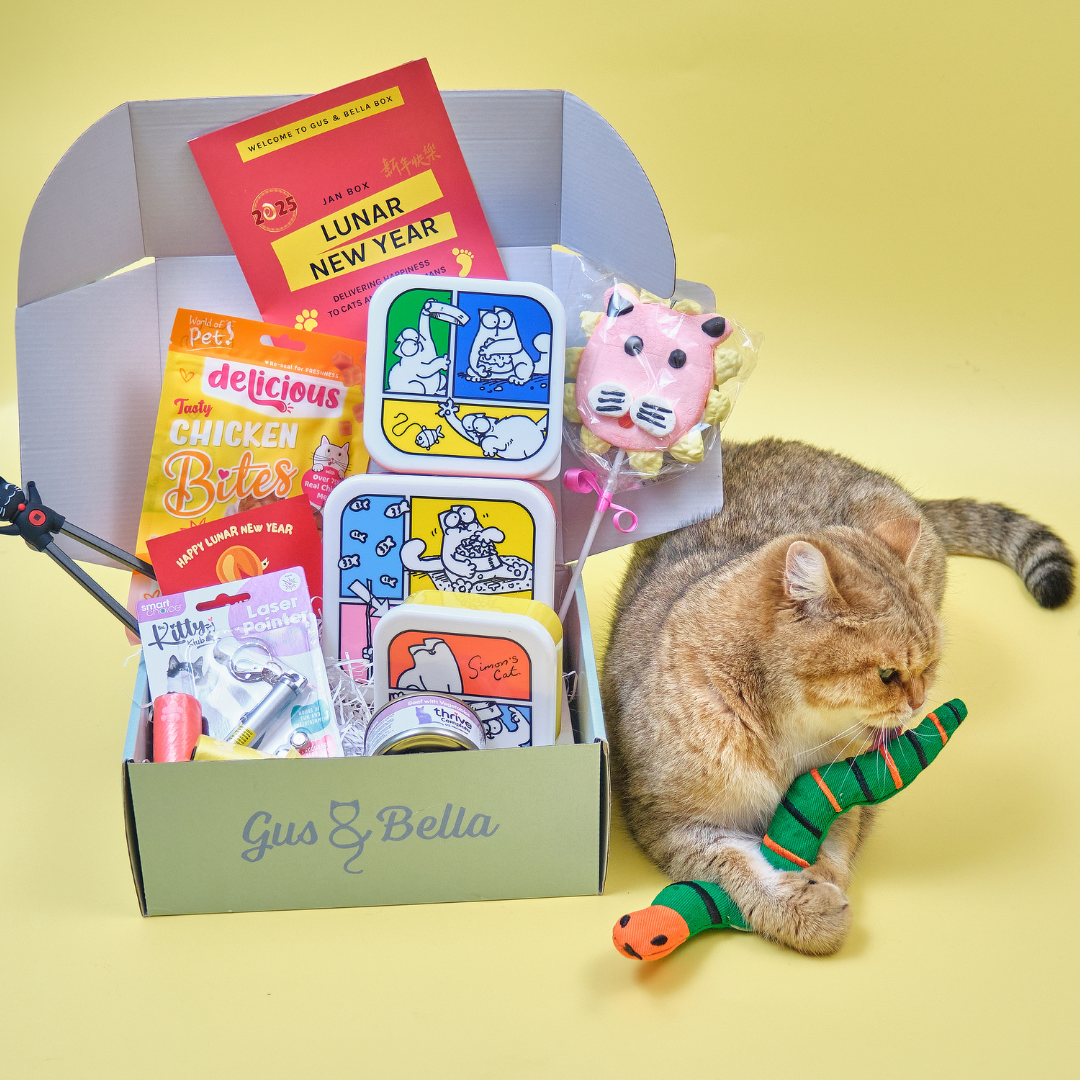 Cat subscription box discount