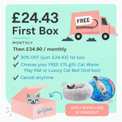 Monthly Cat Box + FREE GIFT