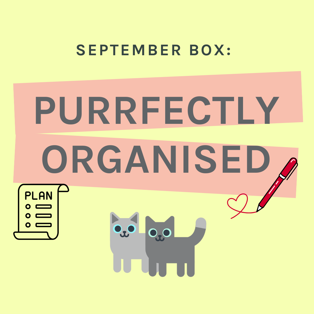 One-Off Cat Gift Box