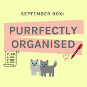 One-Off Cat Gift Box