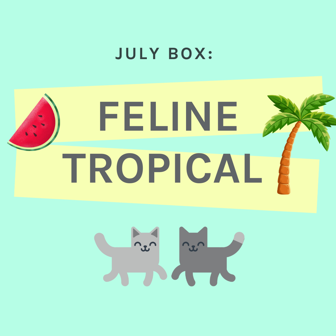 One-Off Cat Gift Box