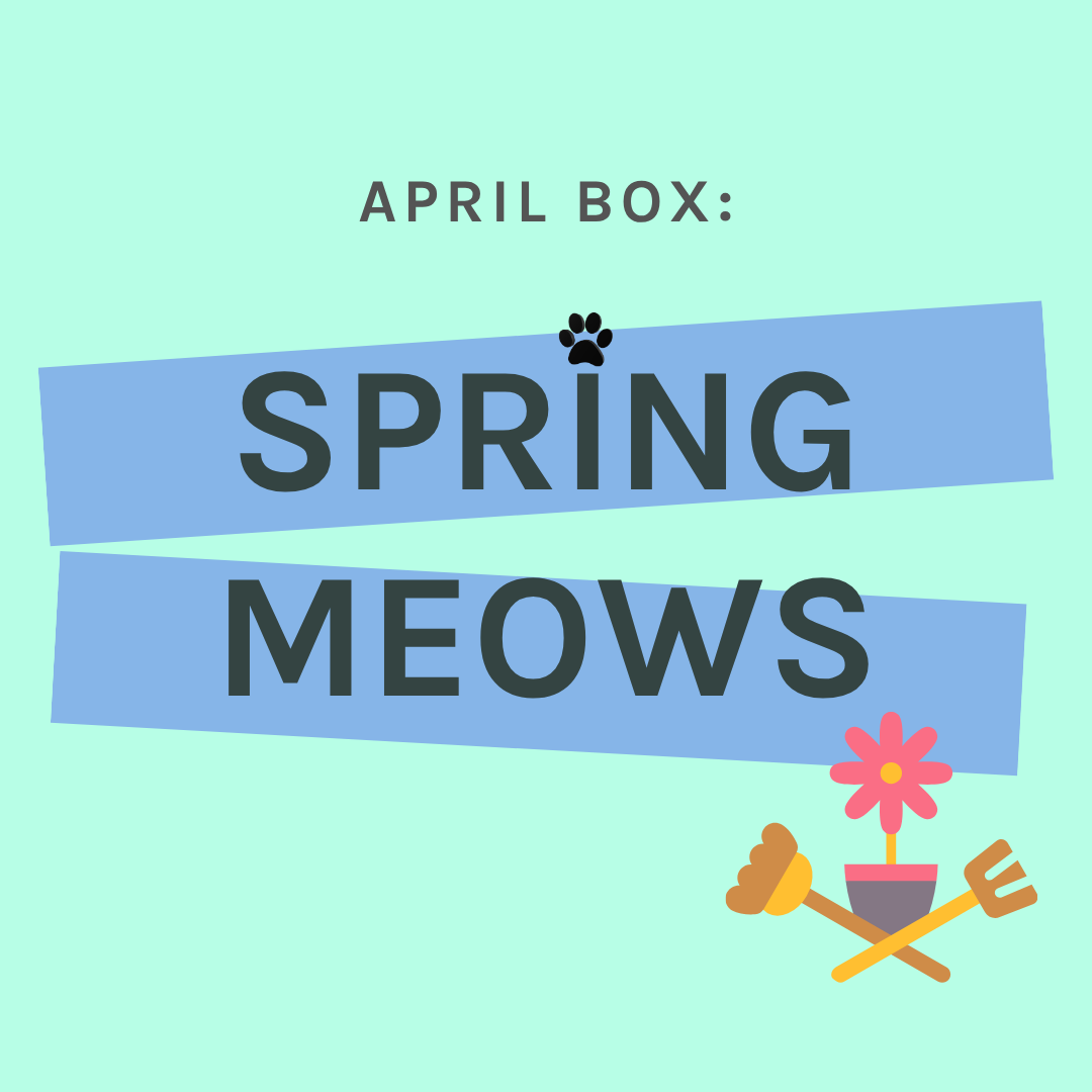 One-Off Cat Gift Box