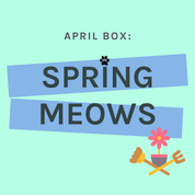 One-Off Cat Gift Box