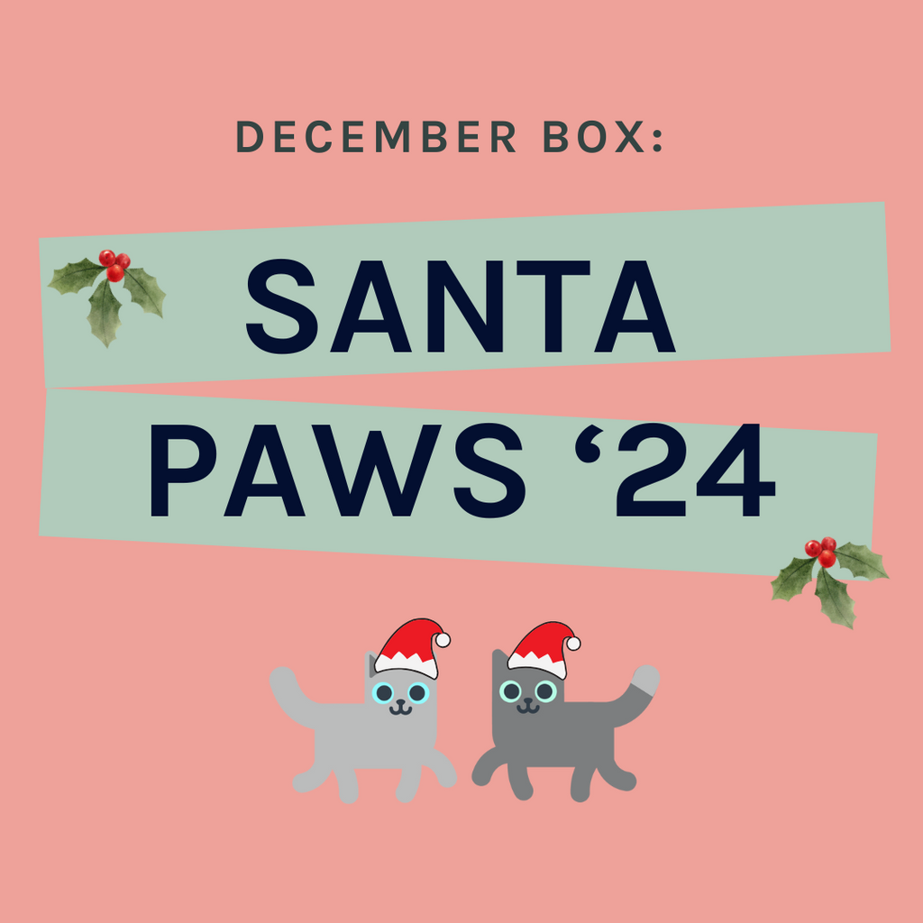 One-Off Cat Gift Box