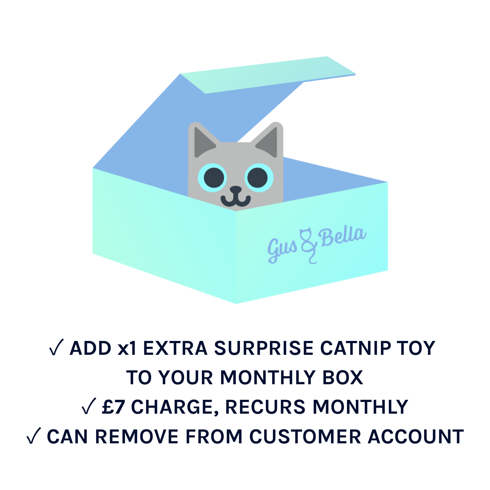 x1 Extra Cat Toy in Monthly Box