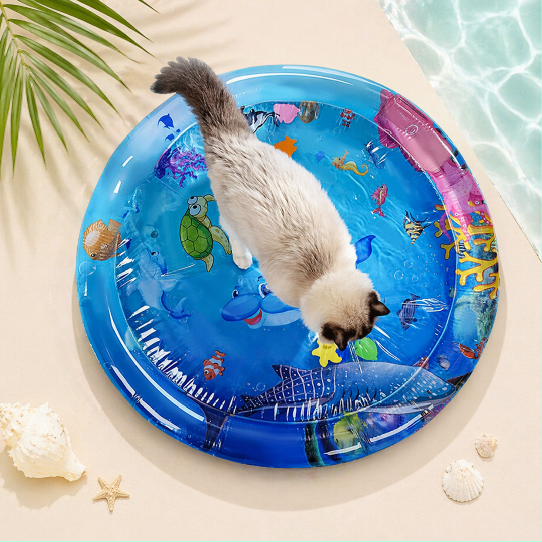 Cat Water Play Mat