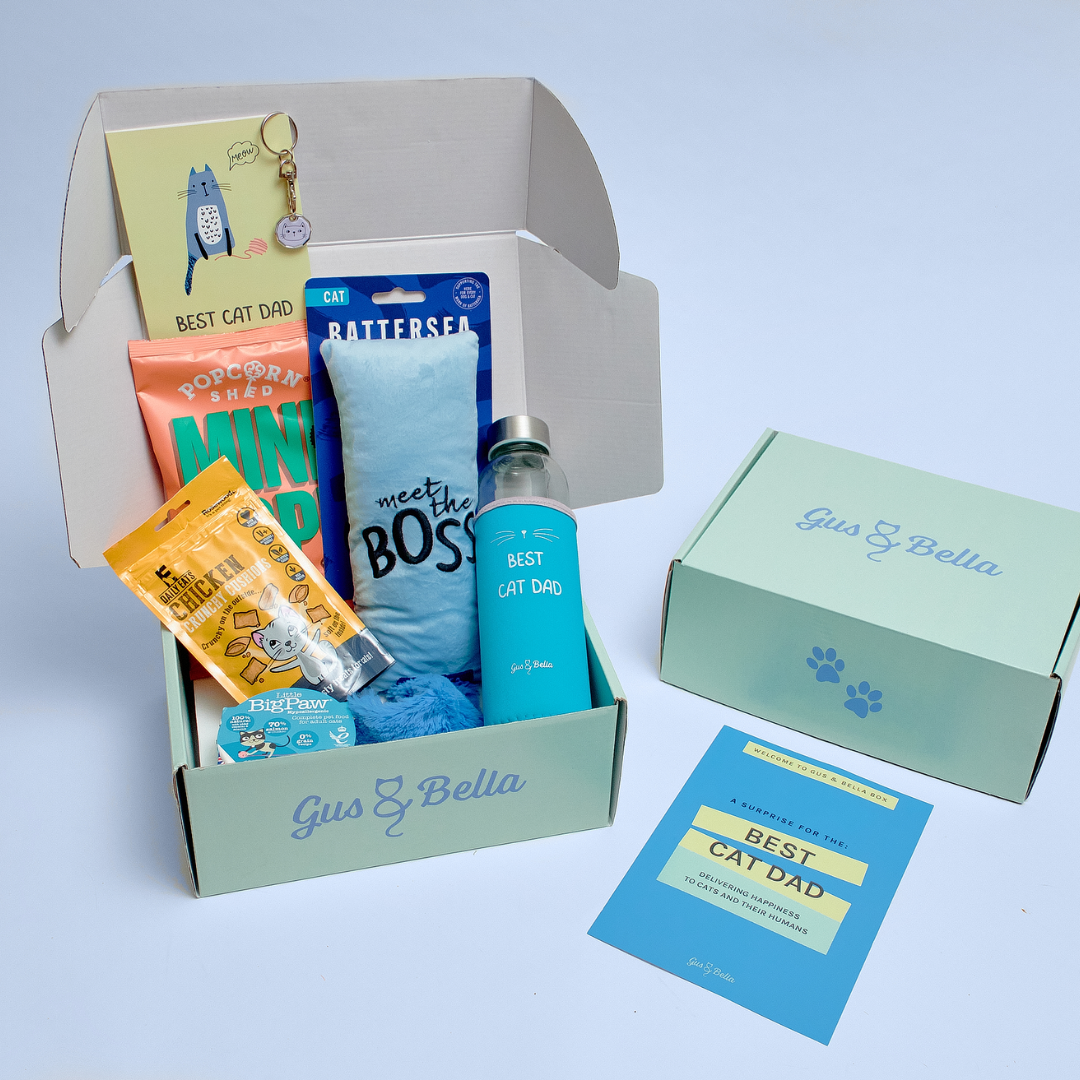 The hot sale dad box