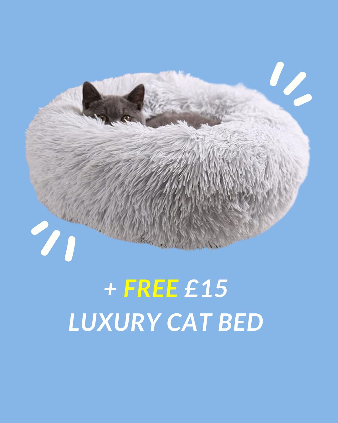 FREE_12_Cat_lady_Candle_1.jpg
