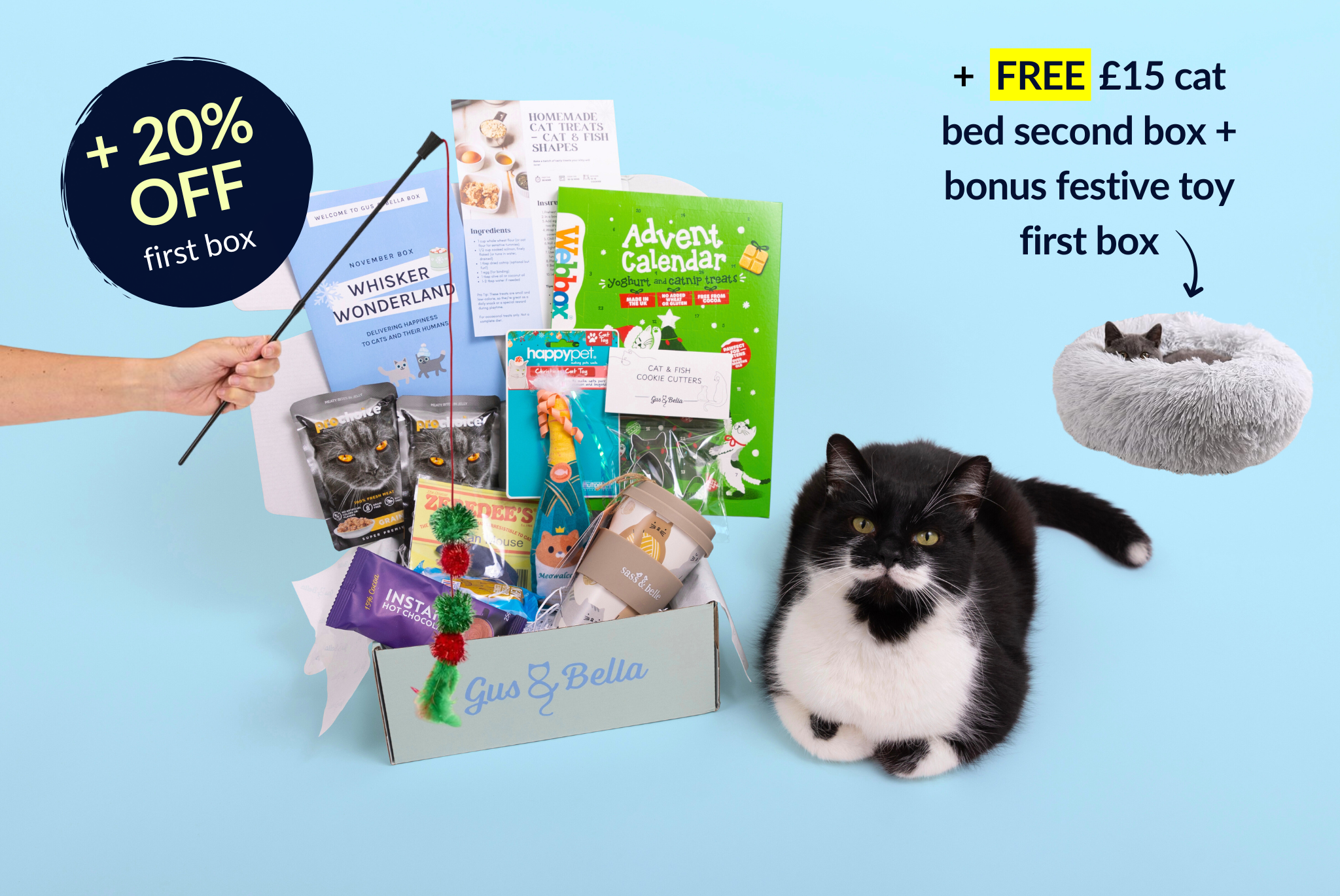 Cat-themed subscription box with cat toys and a cat on a blue background, featuring promotional text.
