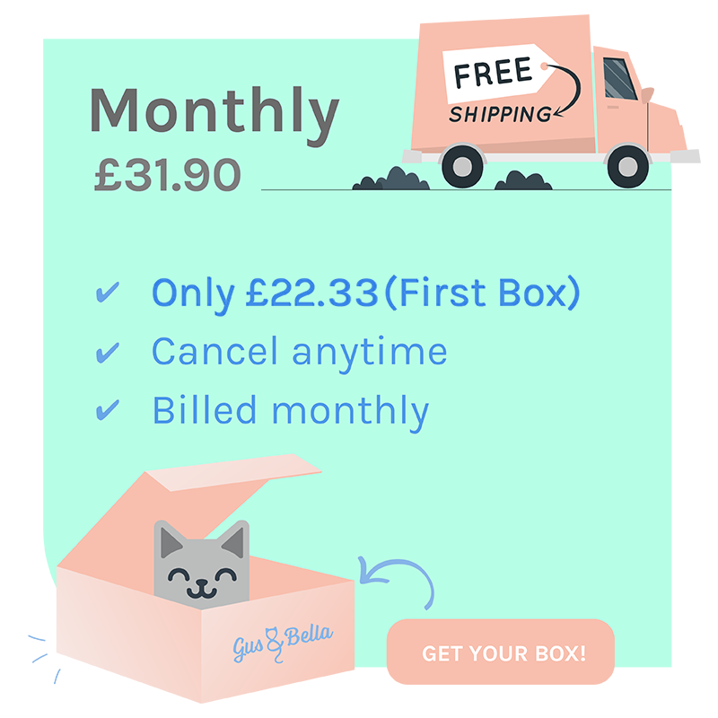 Monthly Cat Box