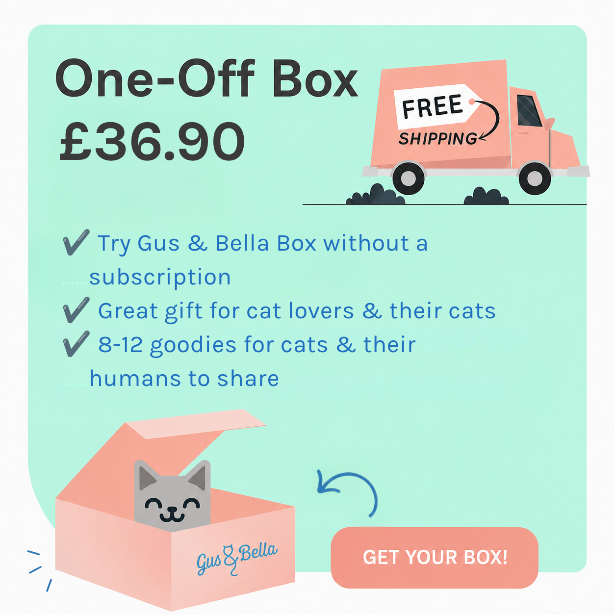 One-Off Cat Gift Box