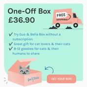 One-Off Cat Gift Box