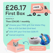 Monthly Cat Box