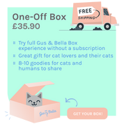 One-Off Cat Gift Box