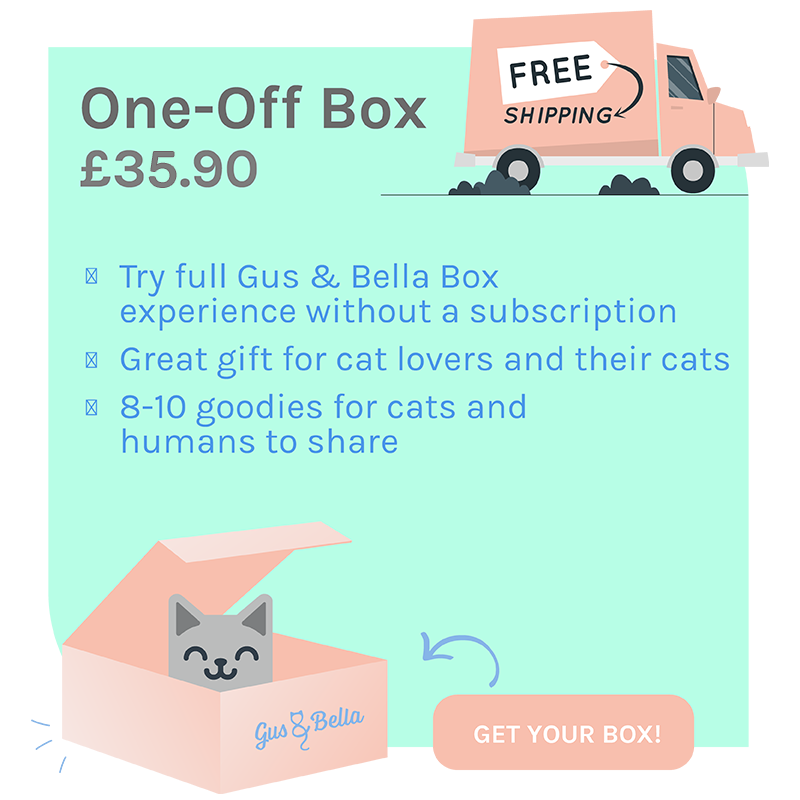 One-Off Cat Gift Box