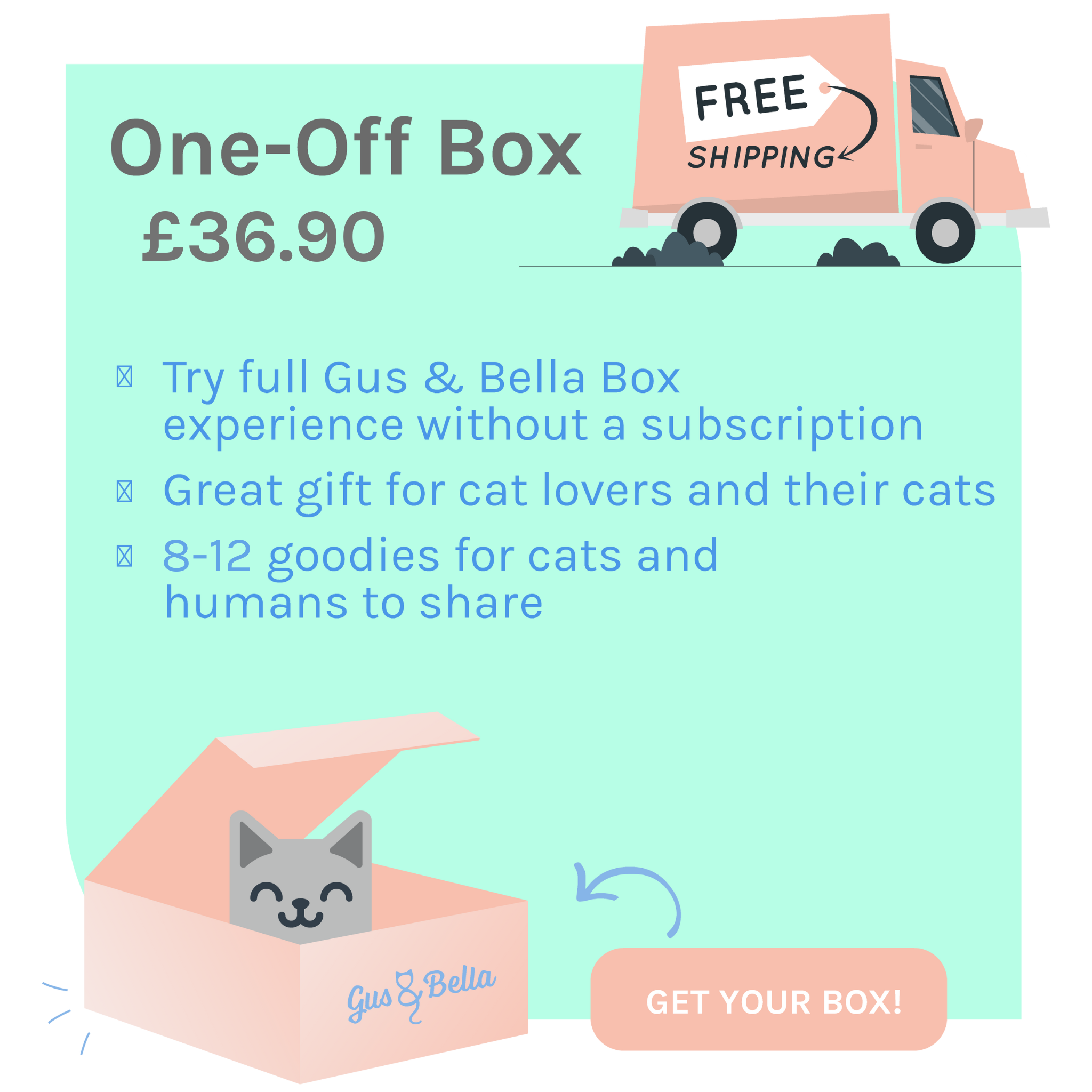 One-Off Cat Gift Box