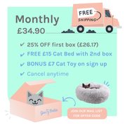 Monthly Cat Box
