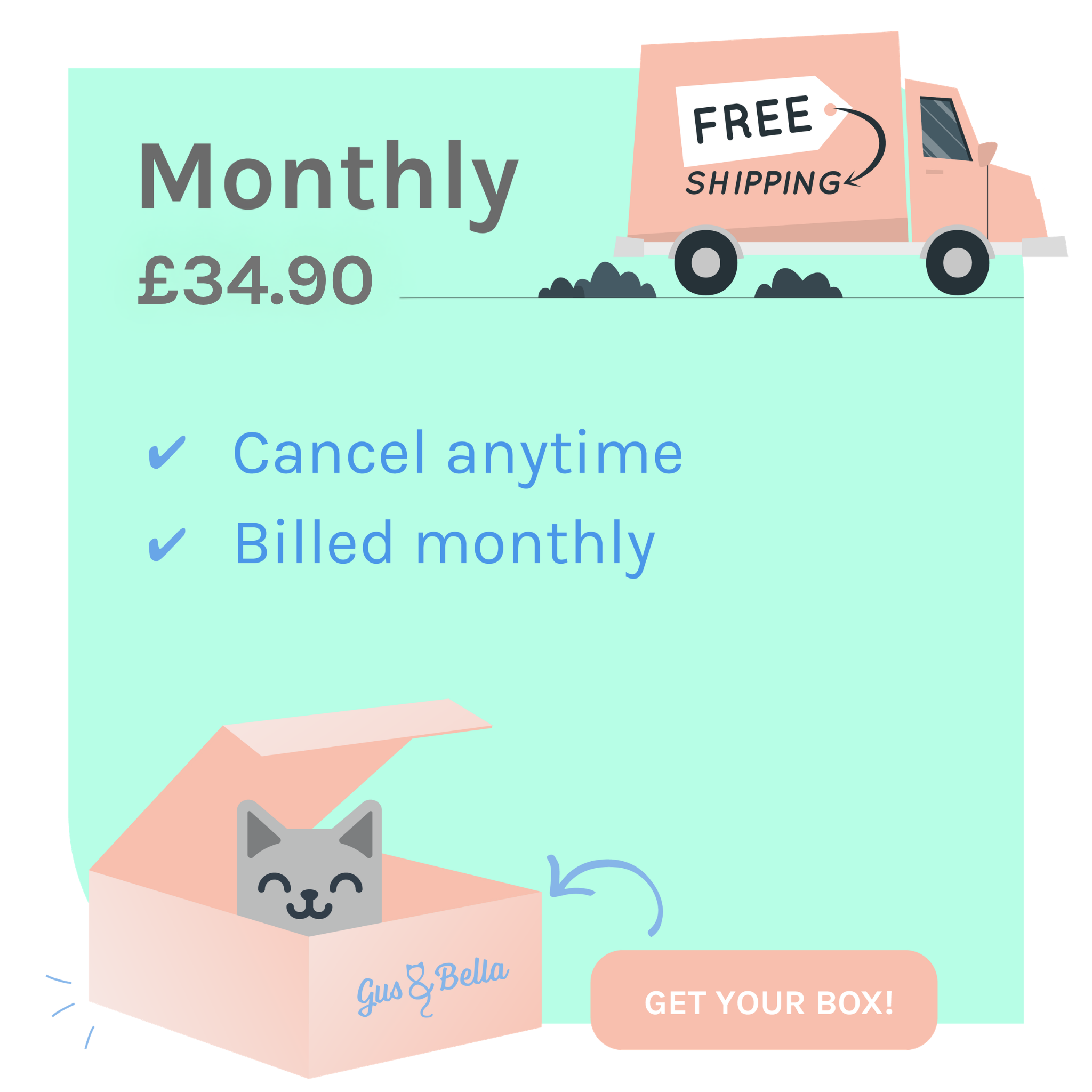 Monthly Cat Box