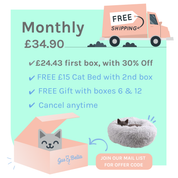 Monthly Cat Box