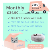 Monthly Cat Box