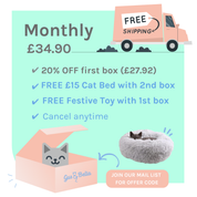 Monthly Cat Box