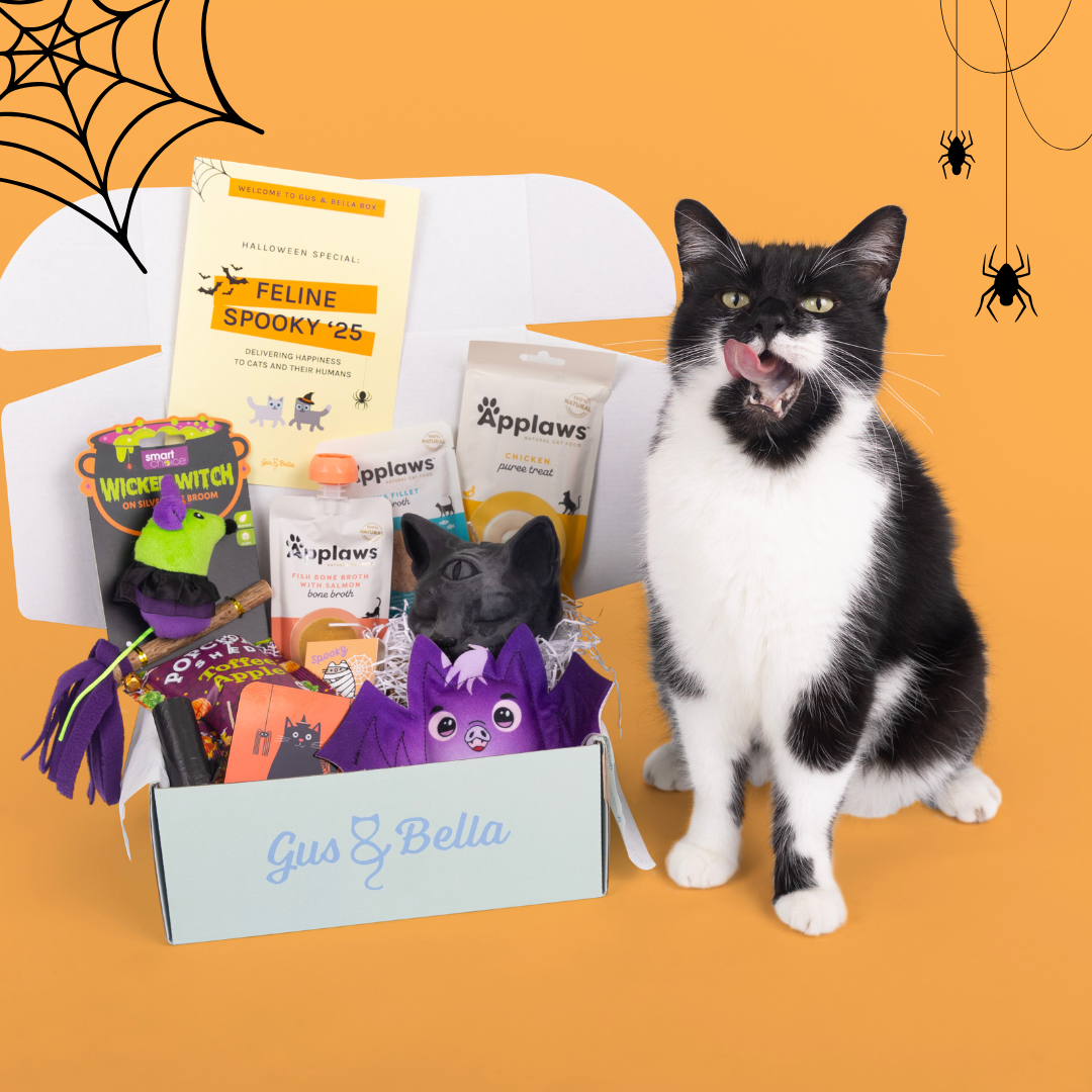 Monthly Cat Box