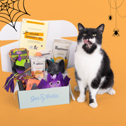 Monthly Cat Box