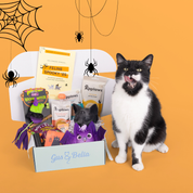 CLEARANCE - 30% OFF - Select Past One-Off Boxes