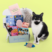 CLEARANCE - 30% OFF - Select Past One-Off Boxes