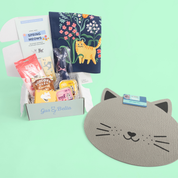 One-Off Cat Gift Box