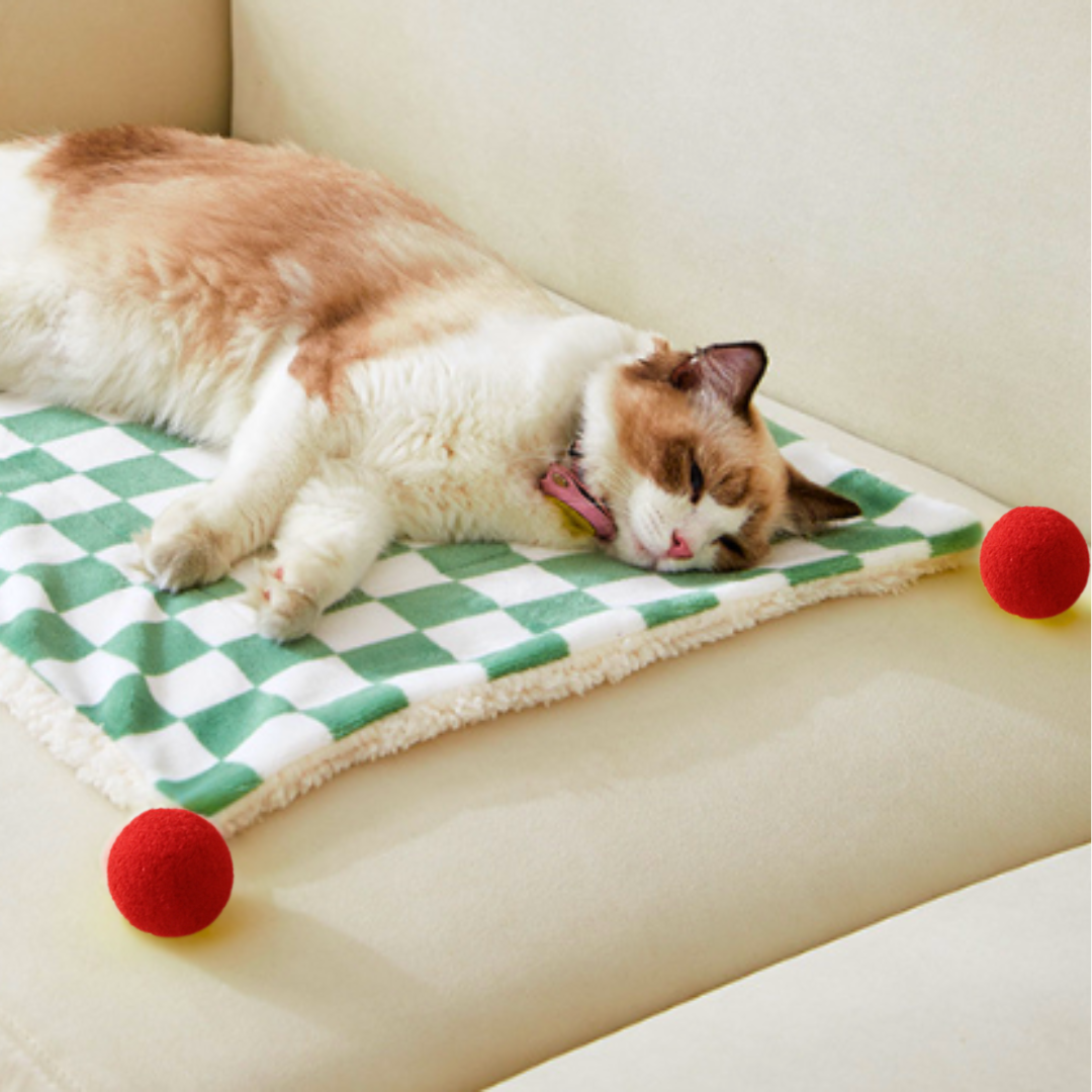 Fluffy Green Cat Blanket (Medium)