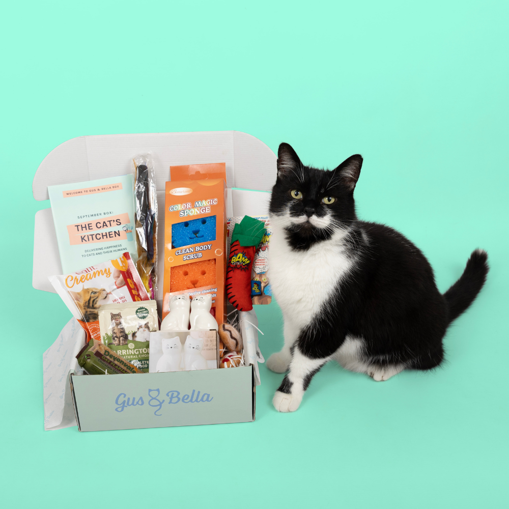 One-Off Cat Gift Box