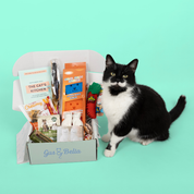 One-Off Cat Gift Box
