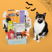 One-Off Cat Gift Box
