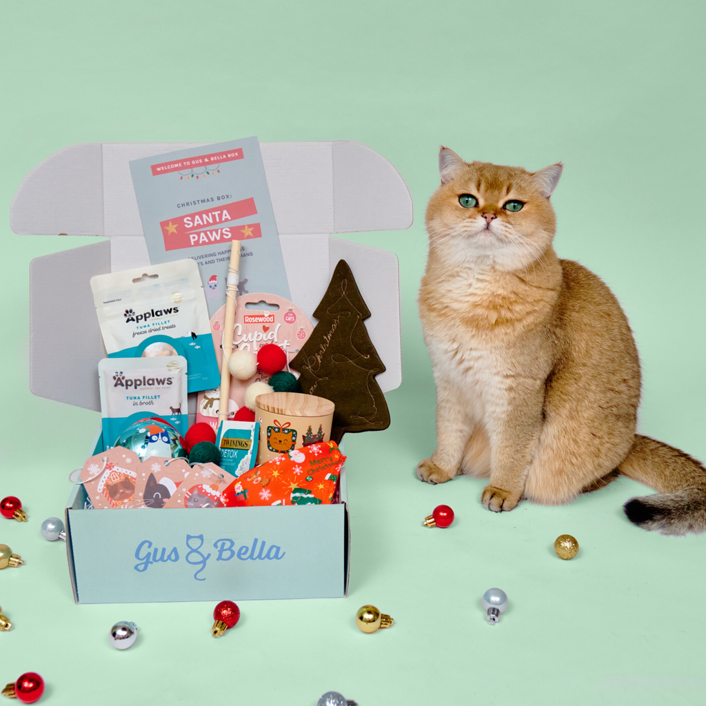 One-Off Cat Gift Box