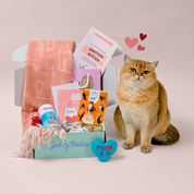 CLEARANCE - 30% OFF - Select Past One-Off Boxes