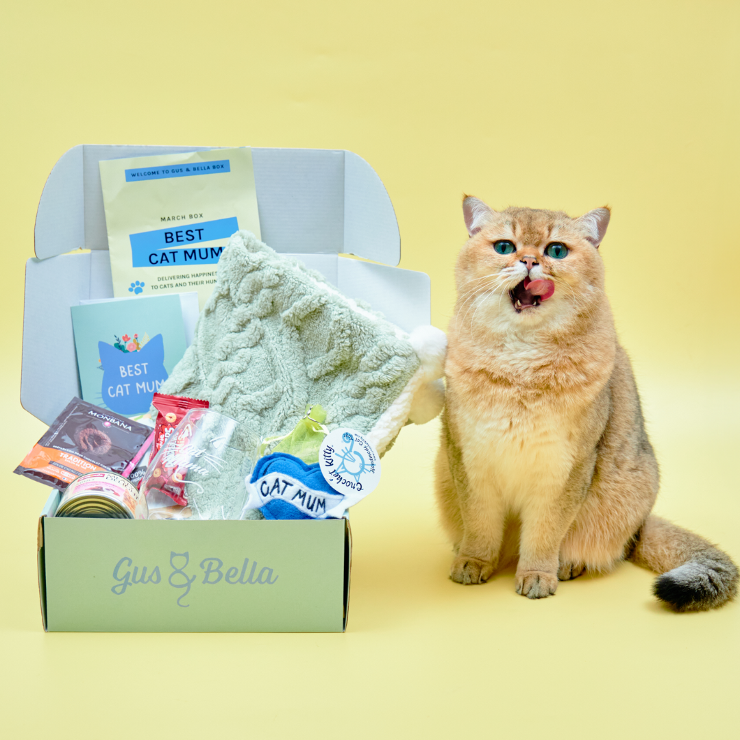 Gifts with cats on hotsell