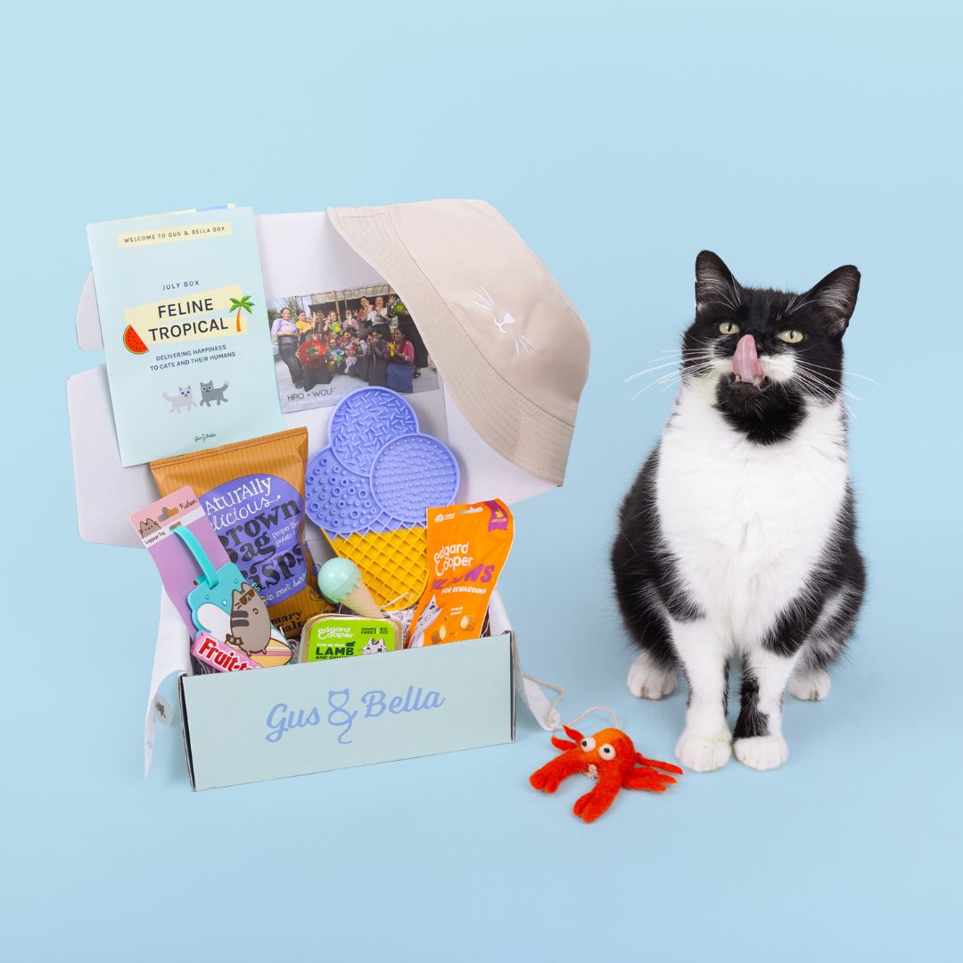 Monthly Cat Box